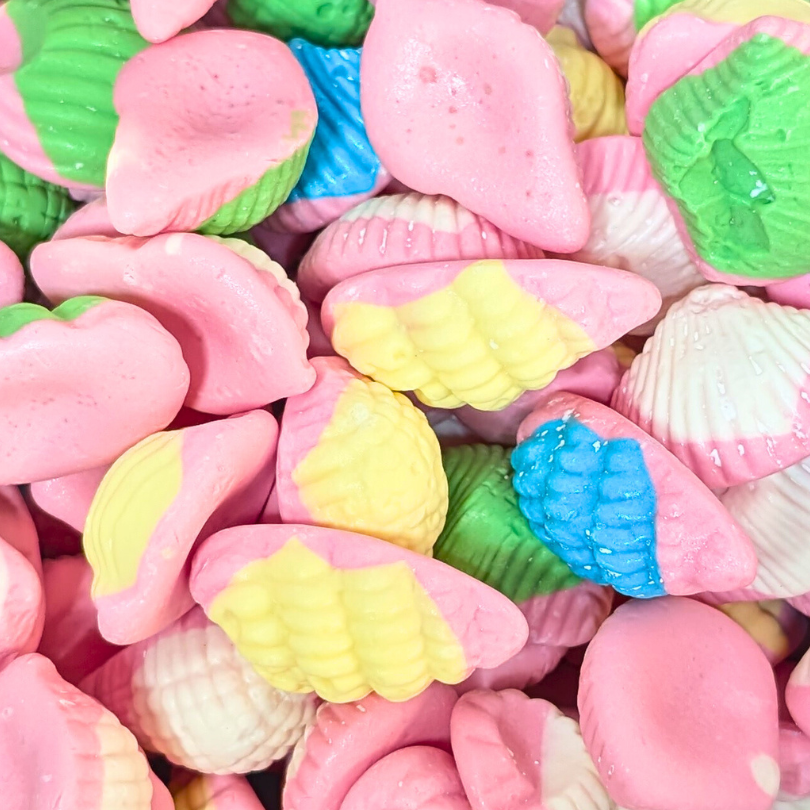 Sea Shells (100g) | Joyofsweets.com – JoyofSweets.com