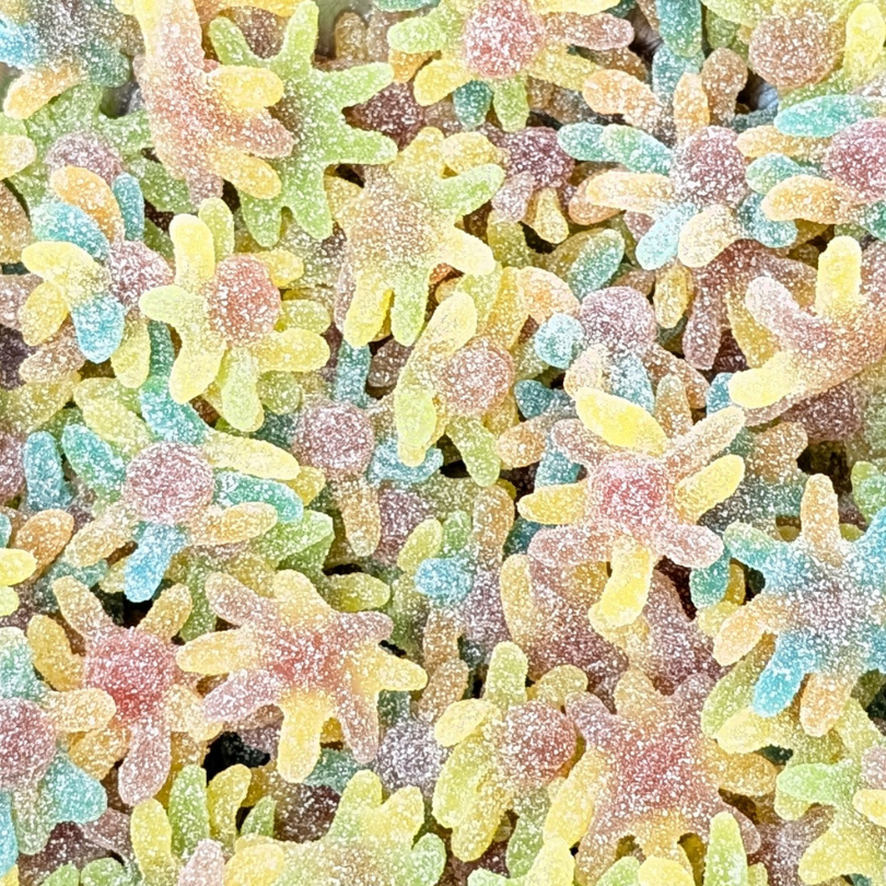 Sour Octopus (100g)
