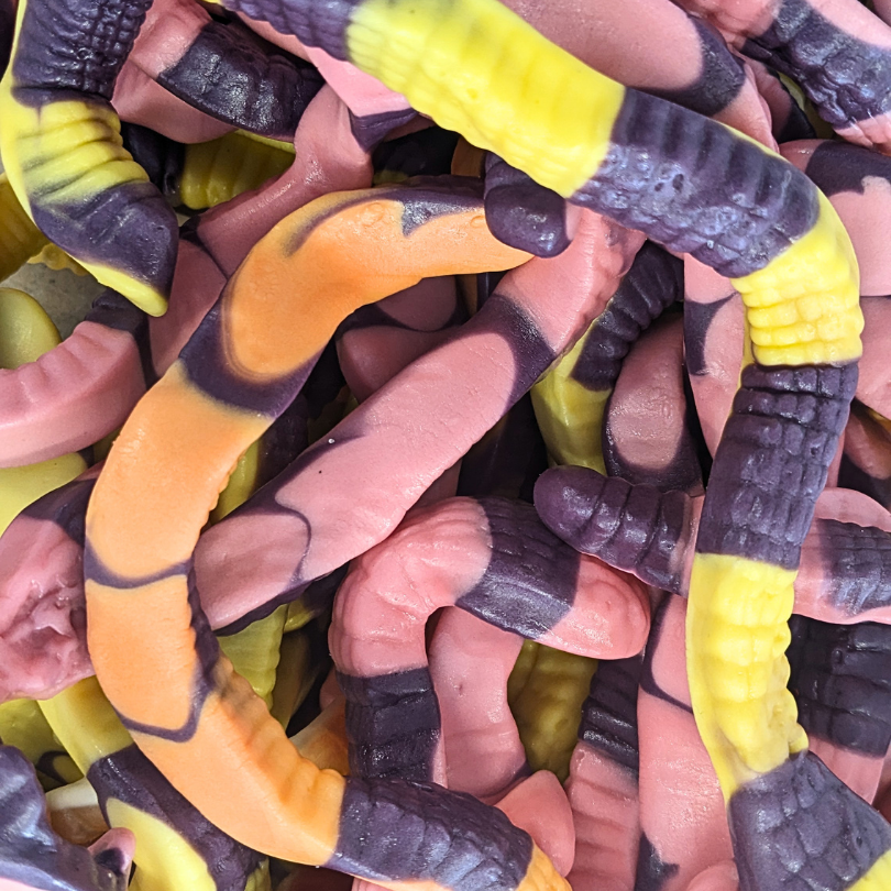 Anacondas
