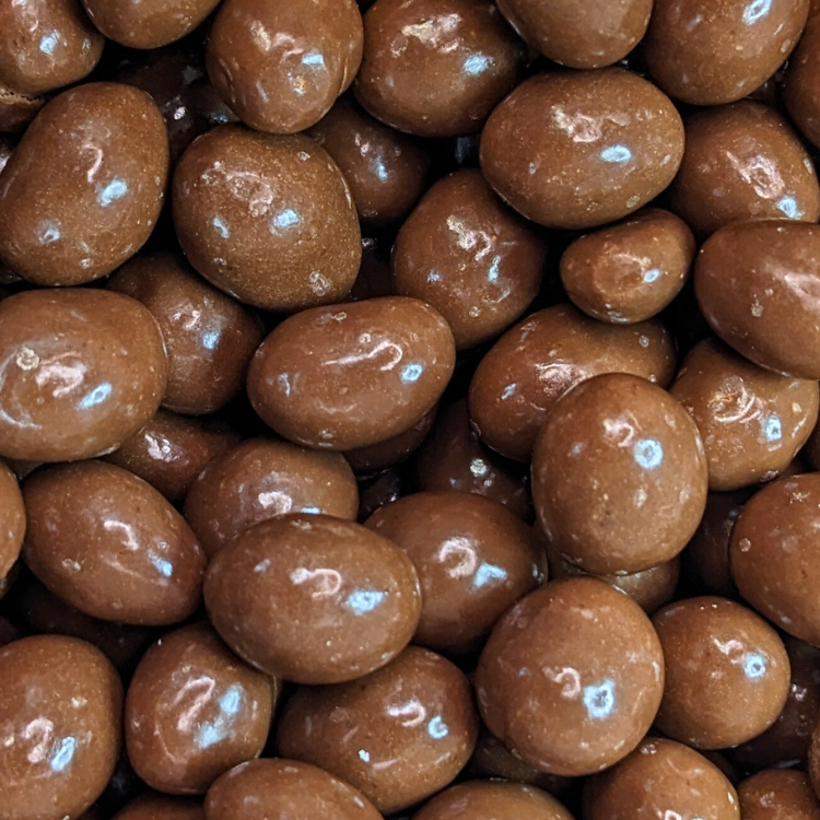 Chocolate Raisins